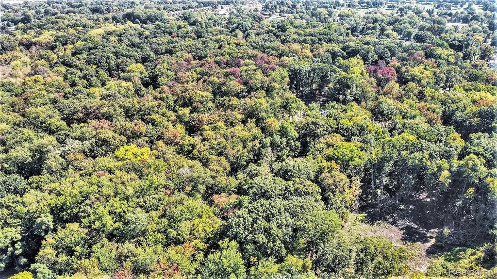 001 Hobson Waterford Charter Township MI 48328