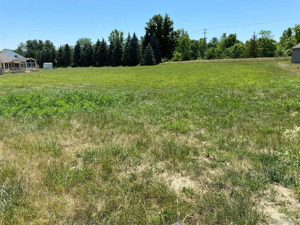 5411 River Meadow Boulevard Flint Charter Township MI 48532