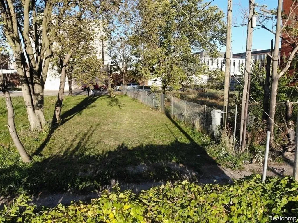 2939 Park Avenue Detroit City MI 48201