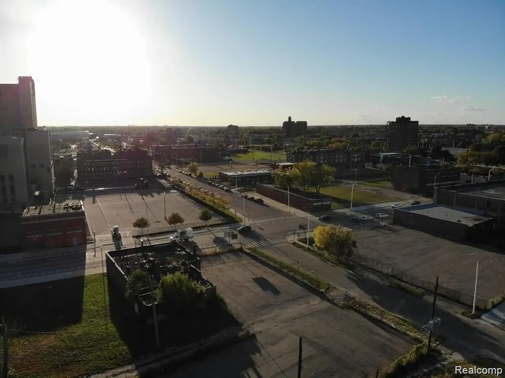 2939 Park Avenue Detroit City MI 48201
