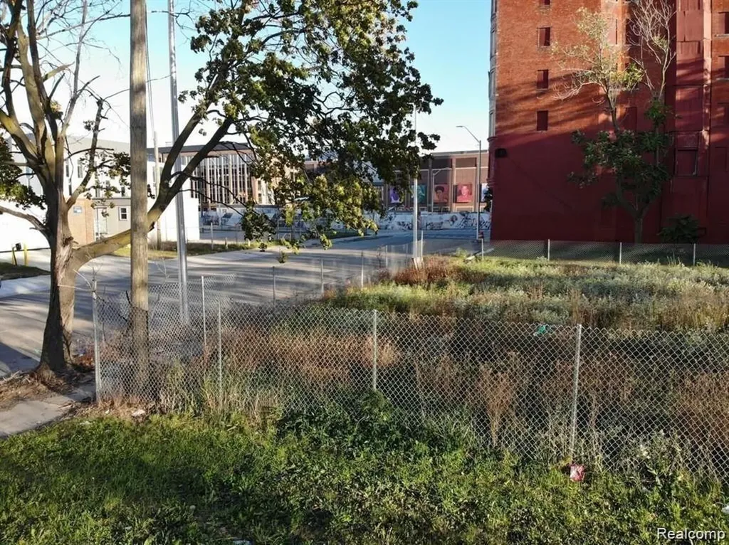 2939 Park Avenue Detroit City MI 48201