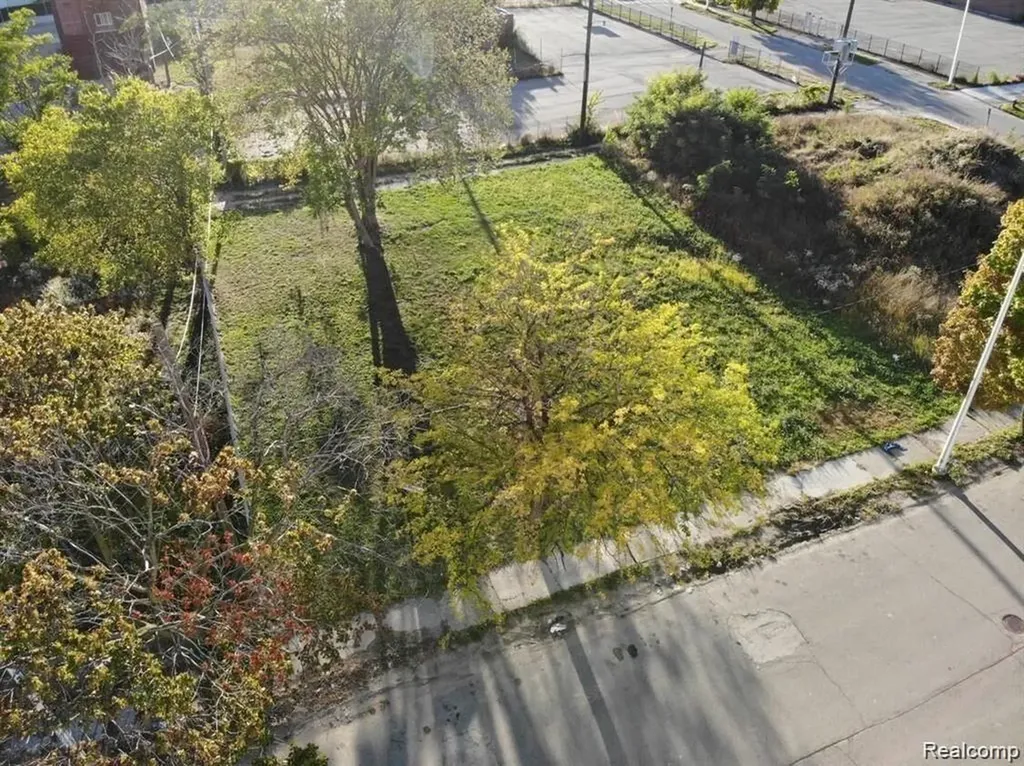 2939 Park Avenue Detroit City MI 48201