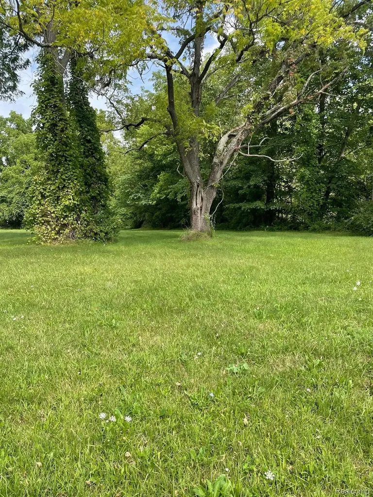 00000 Savage Road Sumpter Township MI 48111