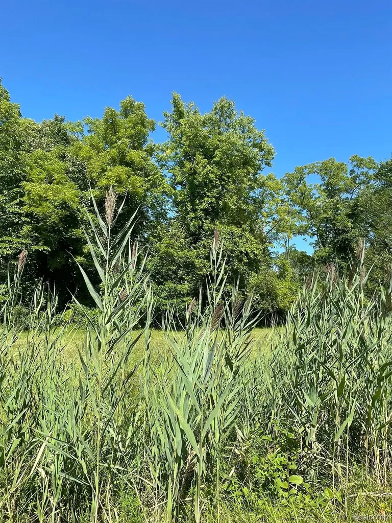 00000 Pennsylvania Road Huron Charter Township MI 48174