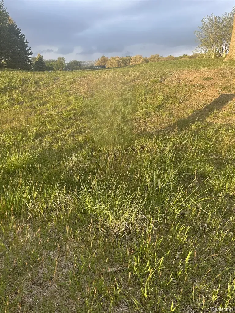 9899 Sunset Boulevard Caseville Township MI 48755
