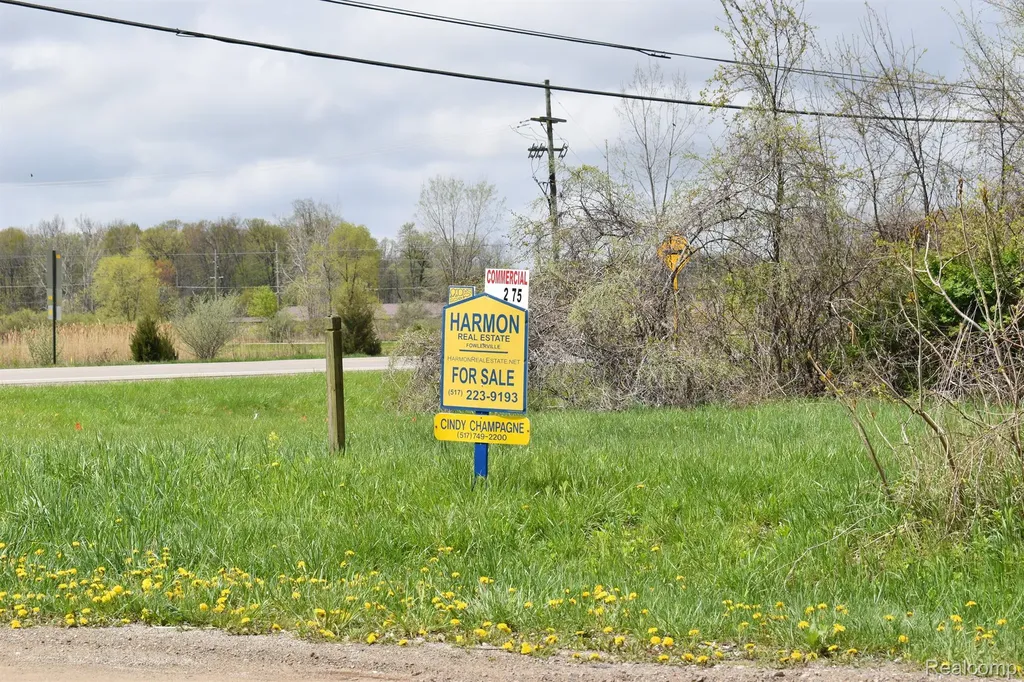 Vl Grand River Avenue Handy Township MI 48836