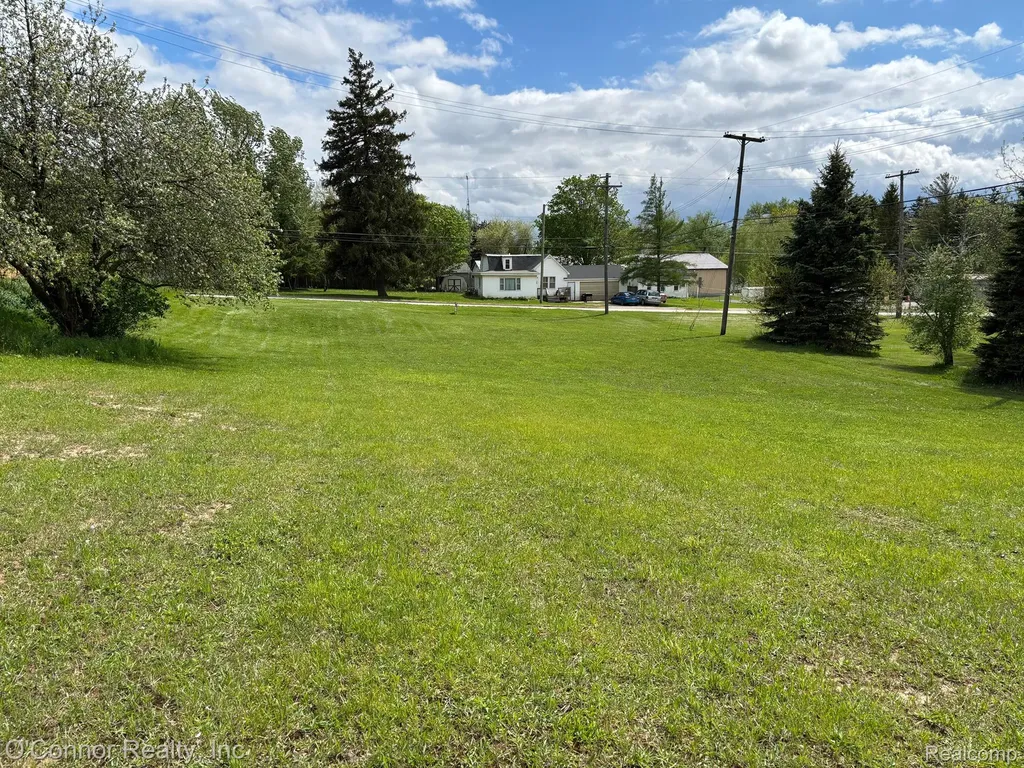 0 N High St Street Carsonville Village MI 48419