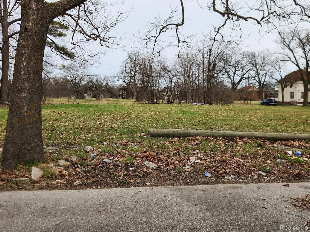 1514 Gray Street Detroit City MI 48215