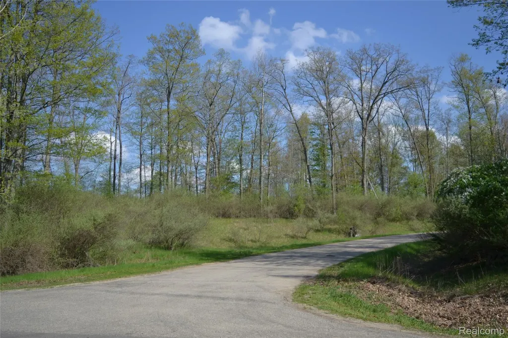 00 Oak Ridge Court Mills Township MI 48756