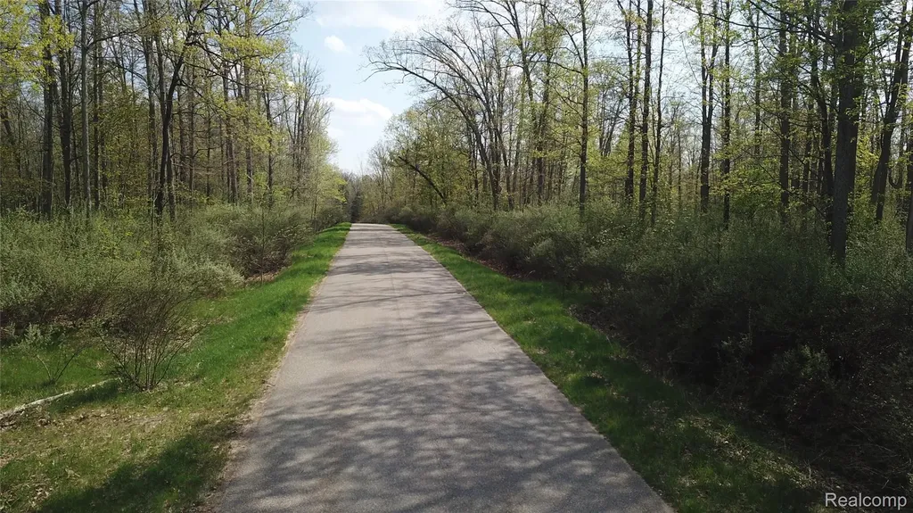 00 Oak Ridge Court Mills Township MI 48756