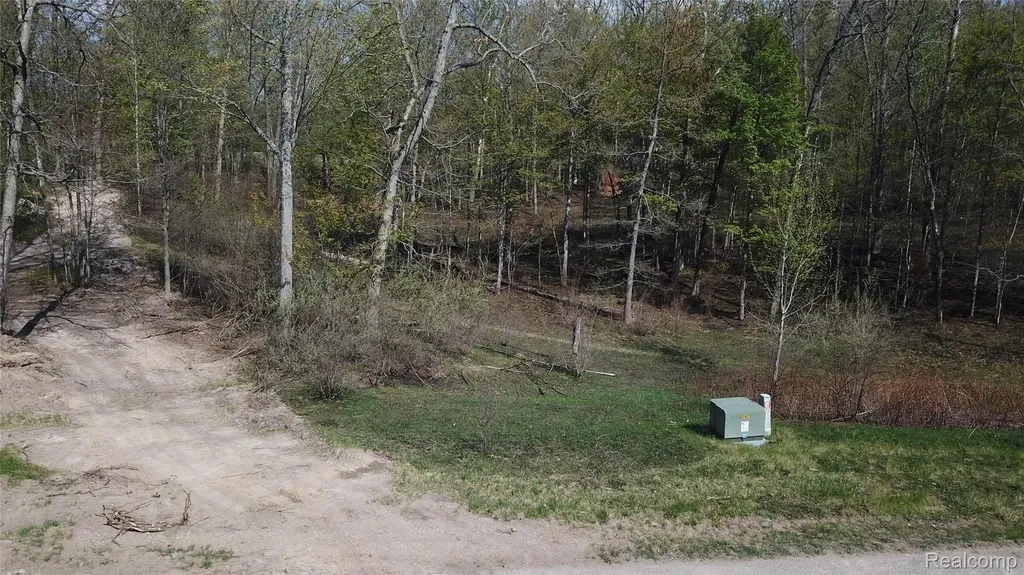 00 Oak Ridge Court Mills Township MI 48756