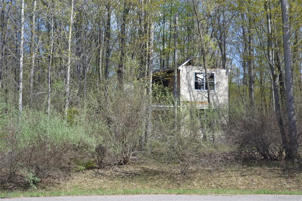 00 Oak Ridge Court Mills Township MI 48756