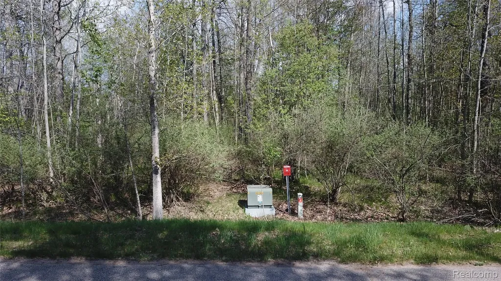 00 Oak Ridge Court Mills Township MI 48756