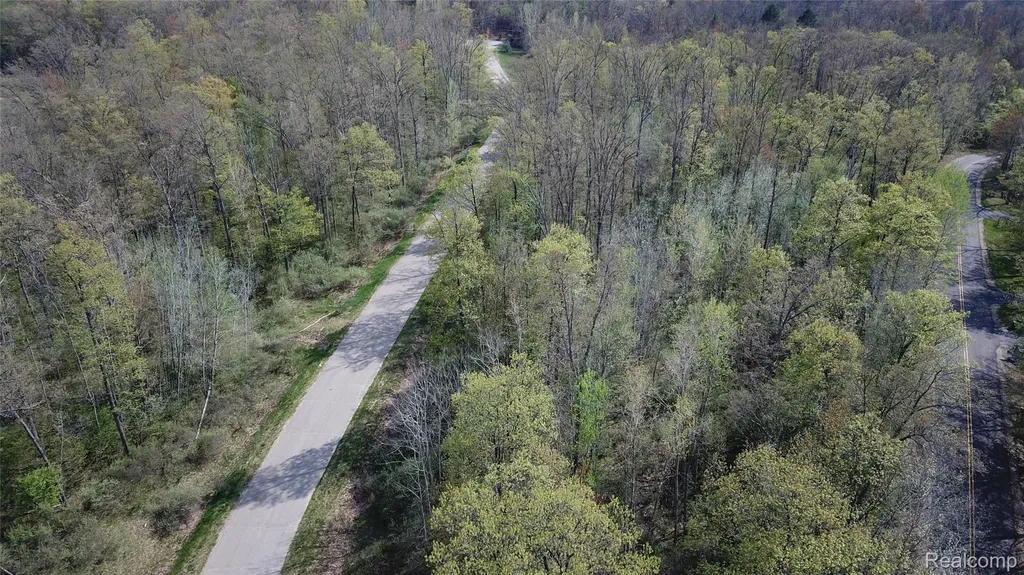 00 Oak Ridge Court Mills Township MI 48756