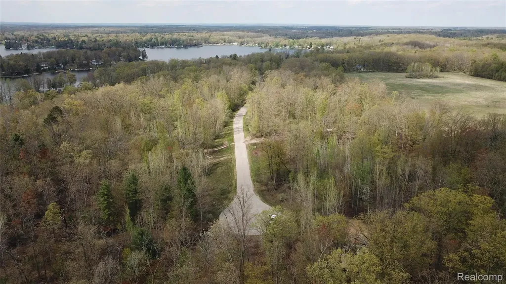 00 Oak Ridge Court Mills Township MI 48756