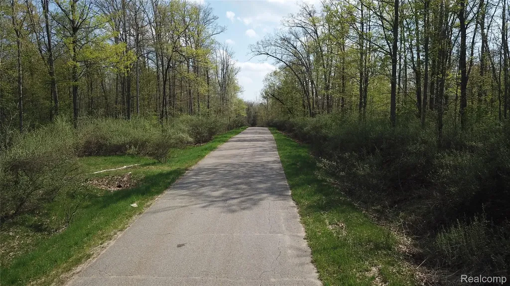 00 Oak Ridge Court Mills Township MI 48756