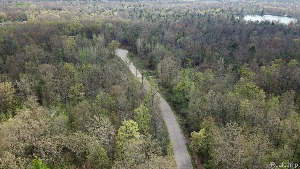 00 Oak Ridge Court Mills Township MI 48756