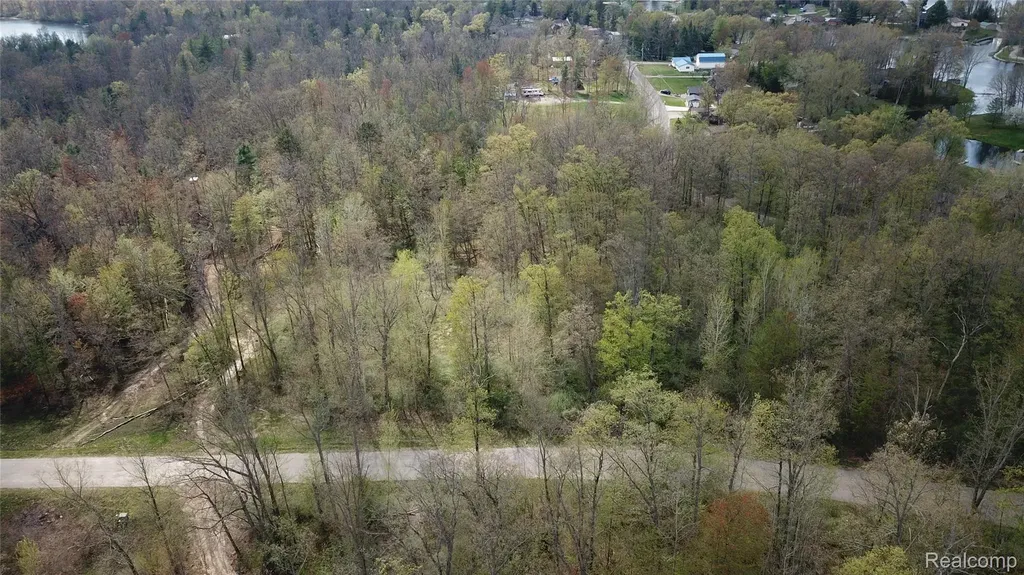 00 Oak Ridge Court Mills Township MI 48756