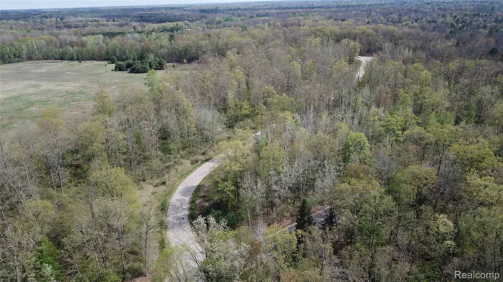 00 Oak Ridge Court Mills Township MI 48756