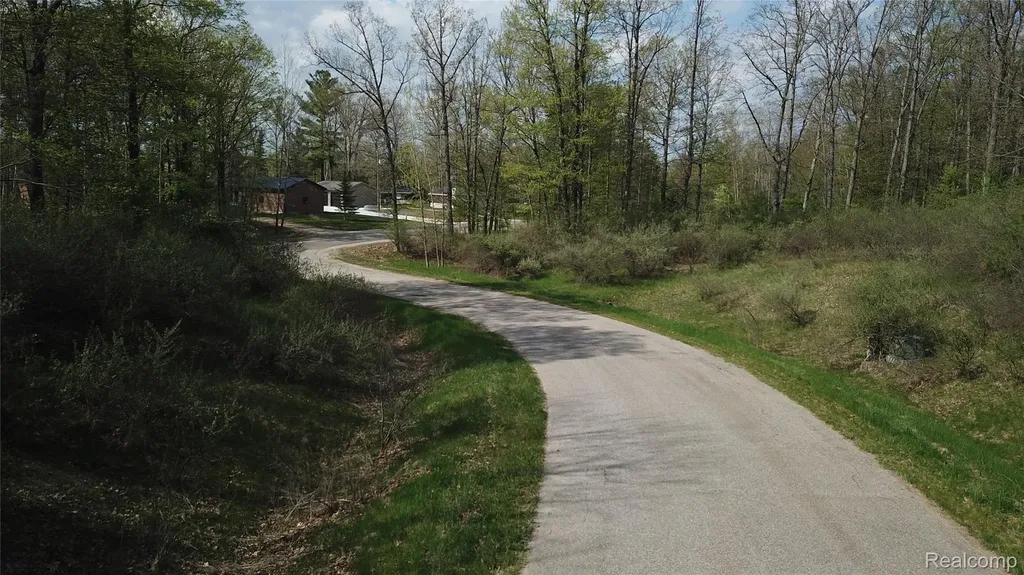 00 Oak Ridge Court Mills Township MI 48756