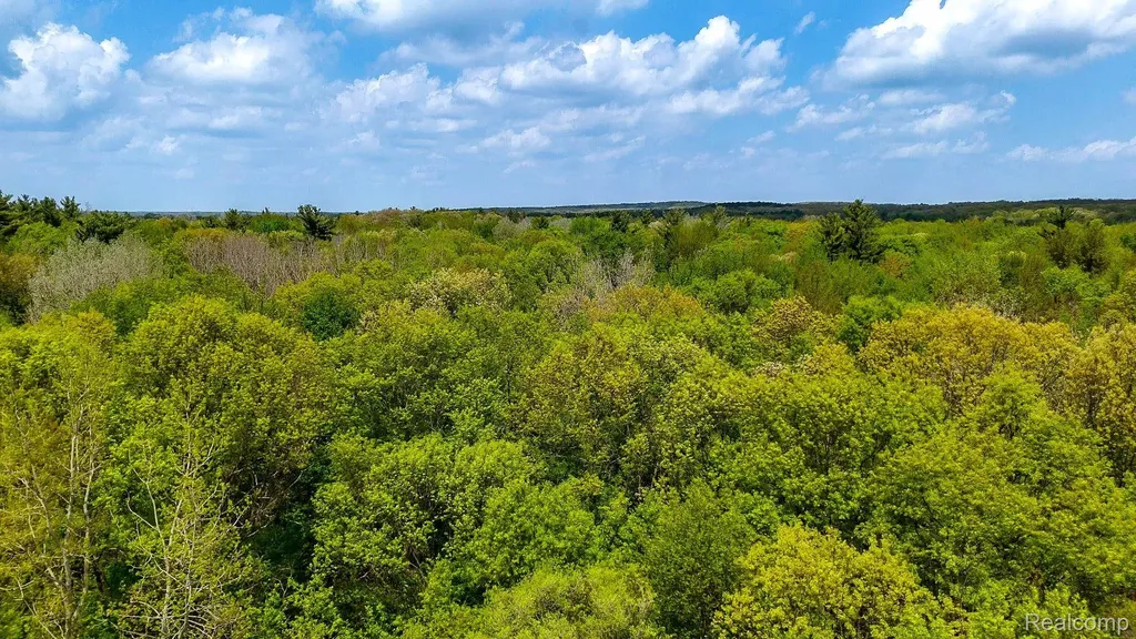 0 Michael Street Brandon Charter Township MI 48462