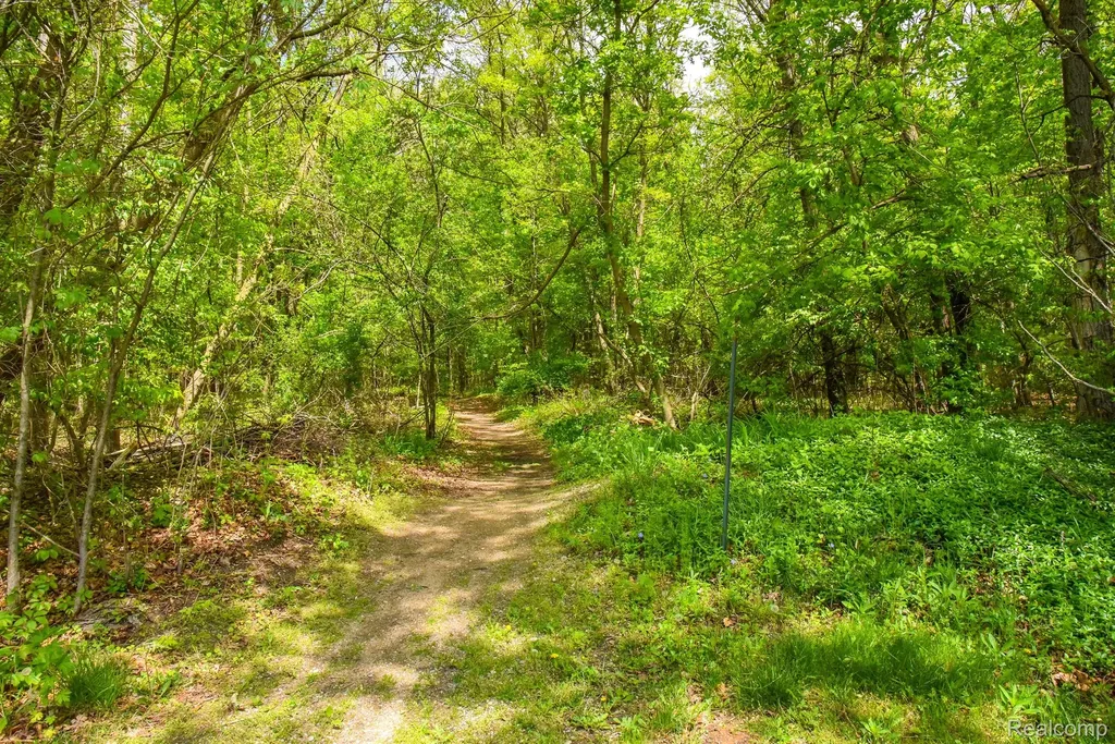0 Michael Street Brandon Charter Township MI 48462