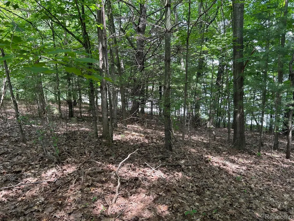 0 0 Eddie Way Traverse City City MI 49685