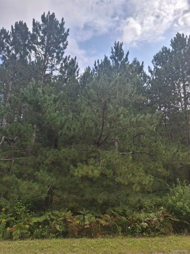 Land 99 Breezewood Drive Mancelona Township MI 49659