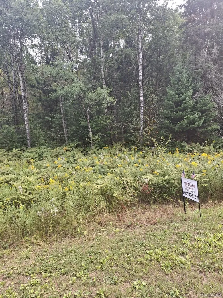 Lot 98 Breezewood Drive Mancelona Township MI 49659