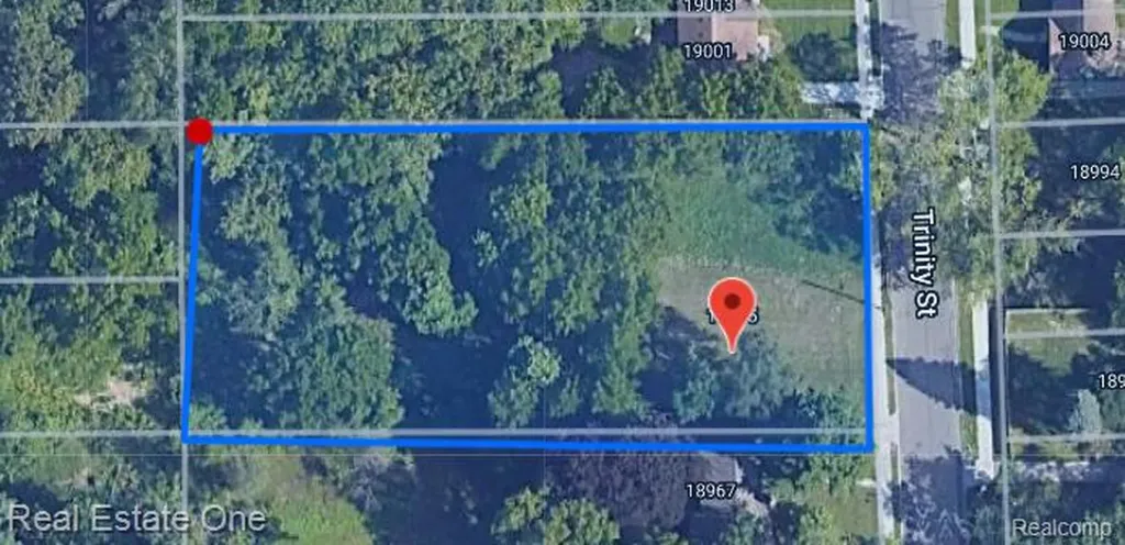 18985 Trinity Street Detroit City MI 48219