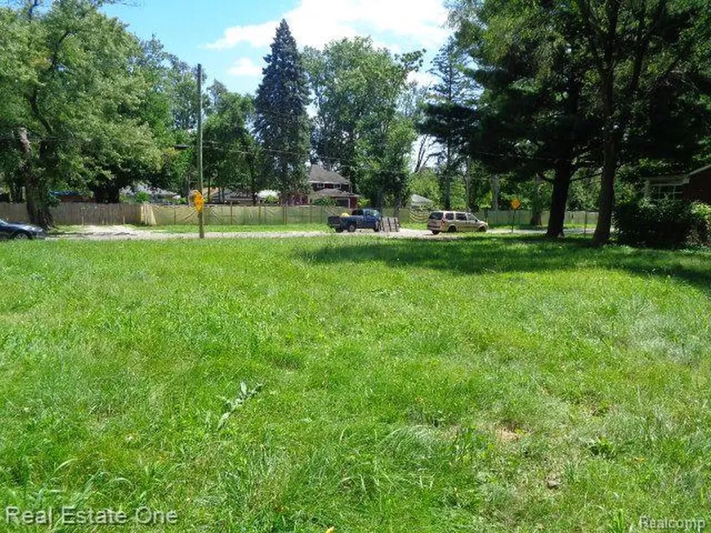 18985 Trinity Street Detroit City MI 48219