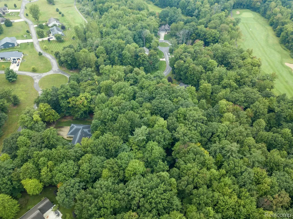 024 Evergreen Trail Vassar Township MI 48768