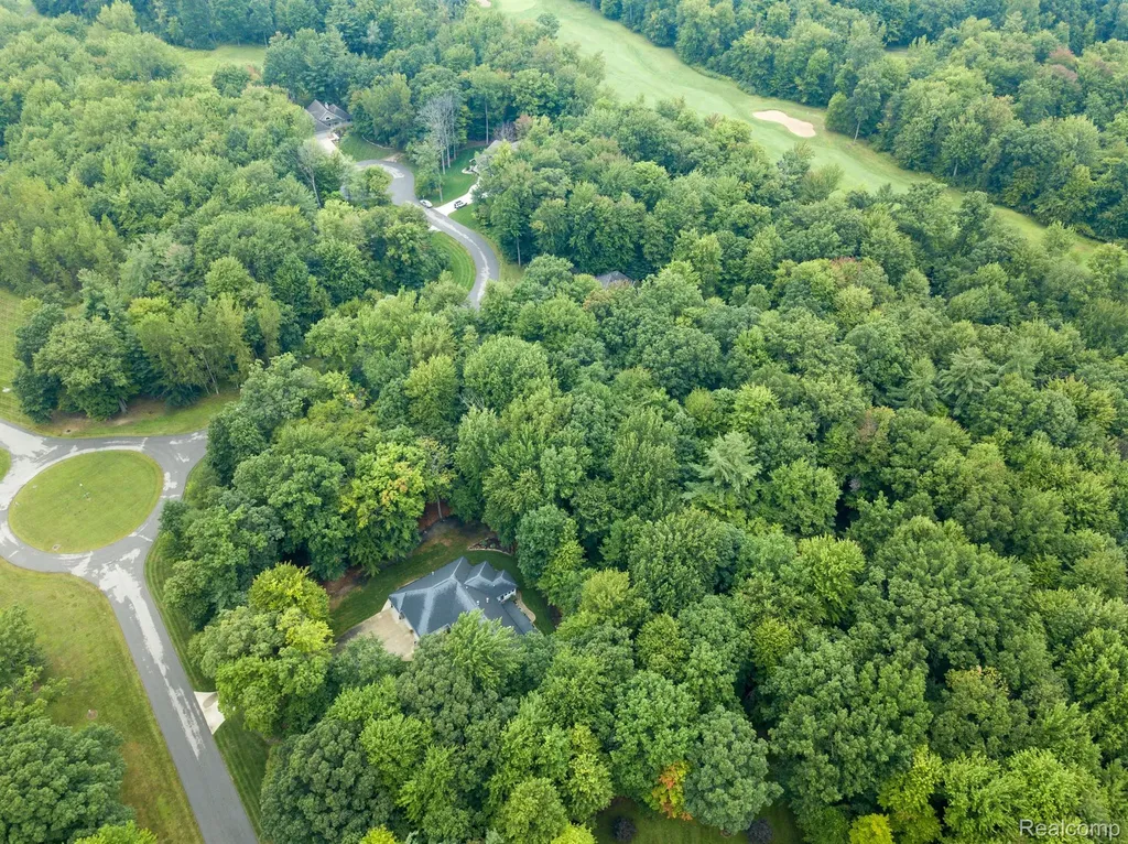 024 Evergreen Trail Vassar Township MI 48768