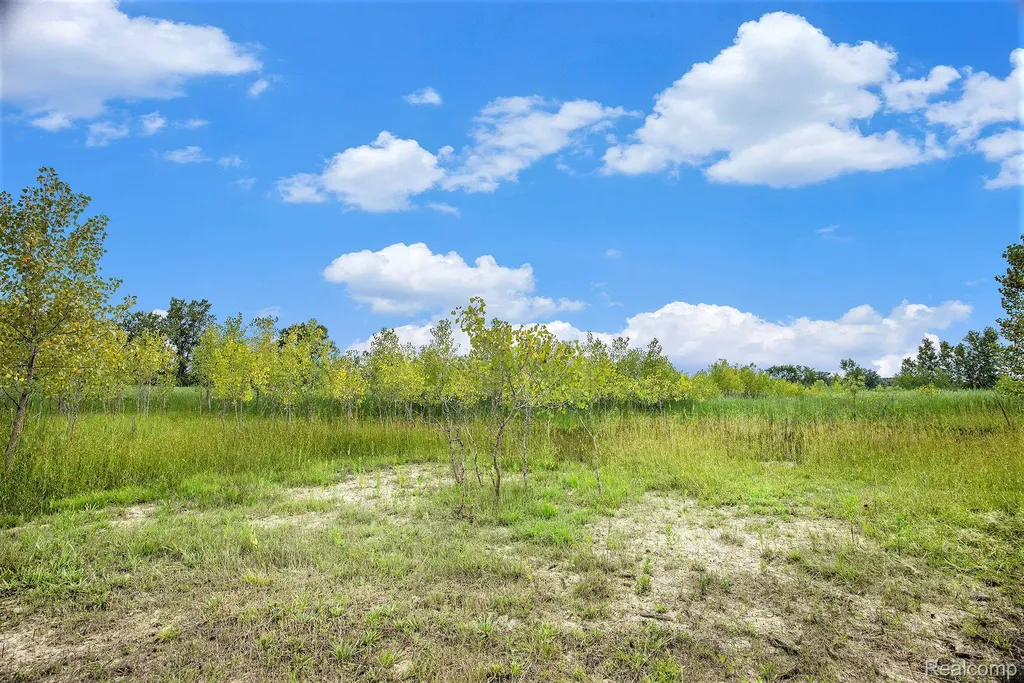 29988 Armada Ridge Road Richmond Township MI 48062