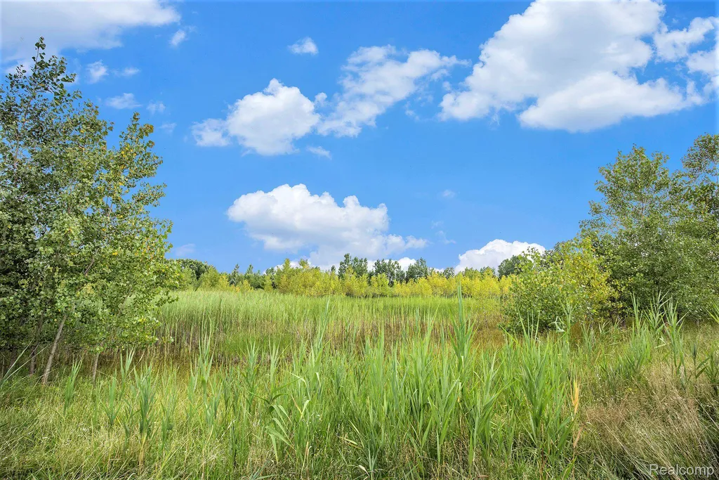 29988 Armada Ridge Road Richmond Township MI 48062