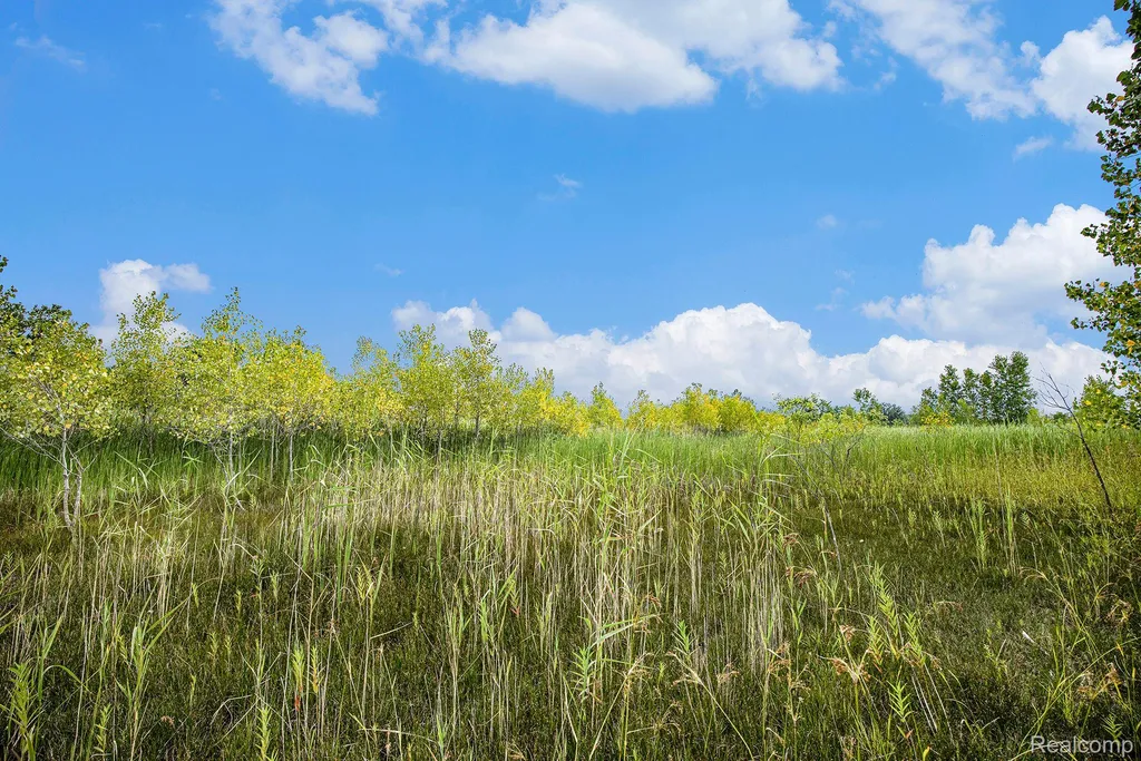 29988 Armada Ridge Road Richmond Township MI 48062