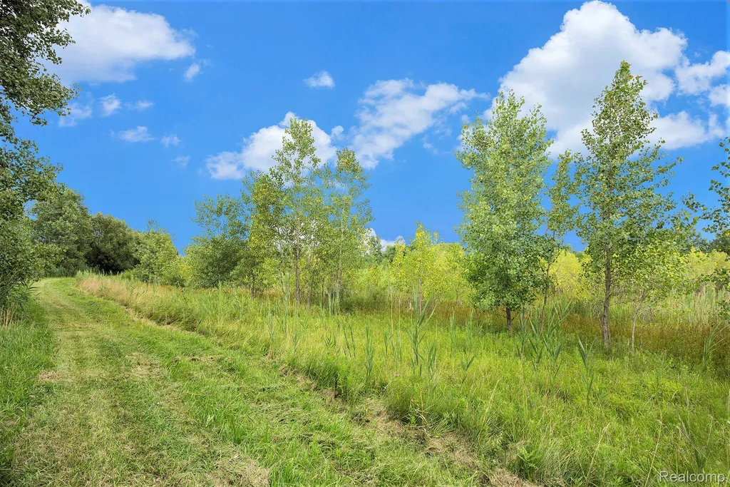 29988 Armada Ridge Road Richmond Township MI 48062