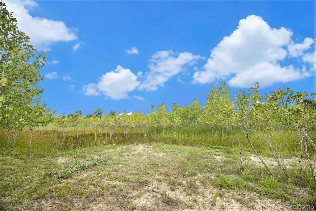 29988 Armada Ridge Road Richmond Township MI 48062