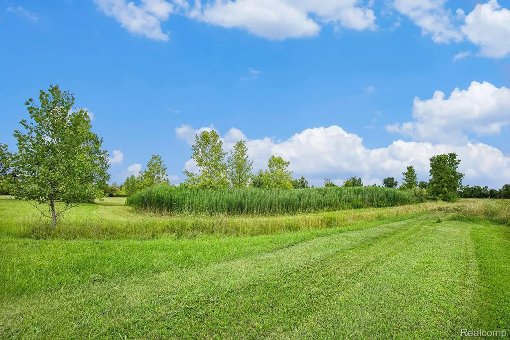 29988 Armada Ridge Road Richmond Township MI 48062