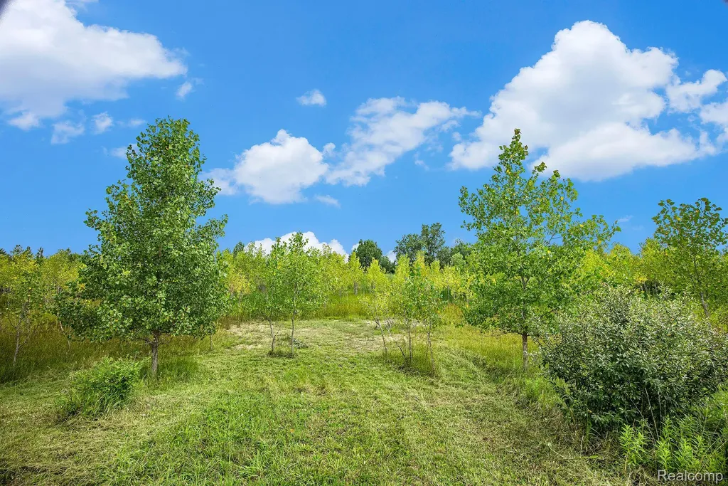 29988 Armada Ridge Road Richmond Township MI 48062