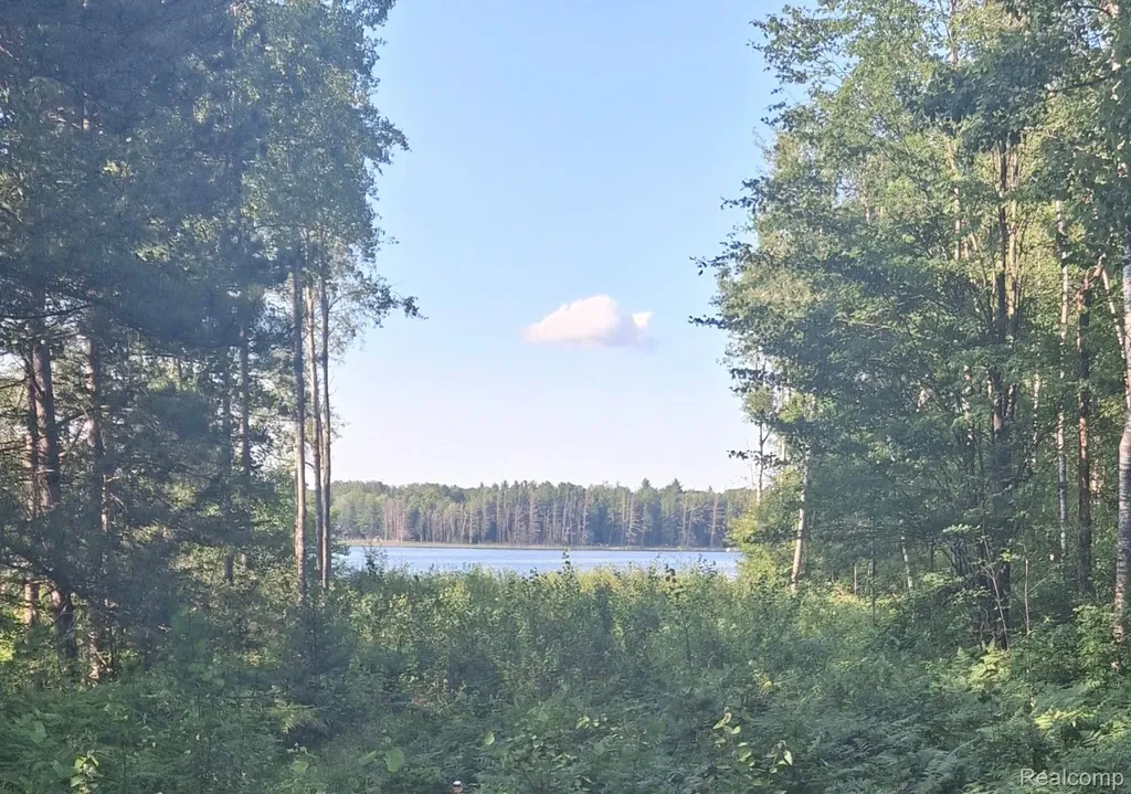 Lot 101 Breezewood Drive Mancelona Township MI 49659