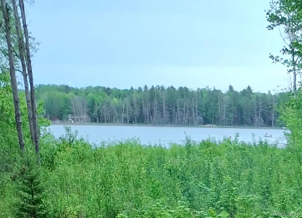 Lot 101 Breezewood Drive Mancelona Township MI 49659