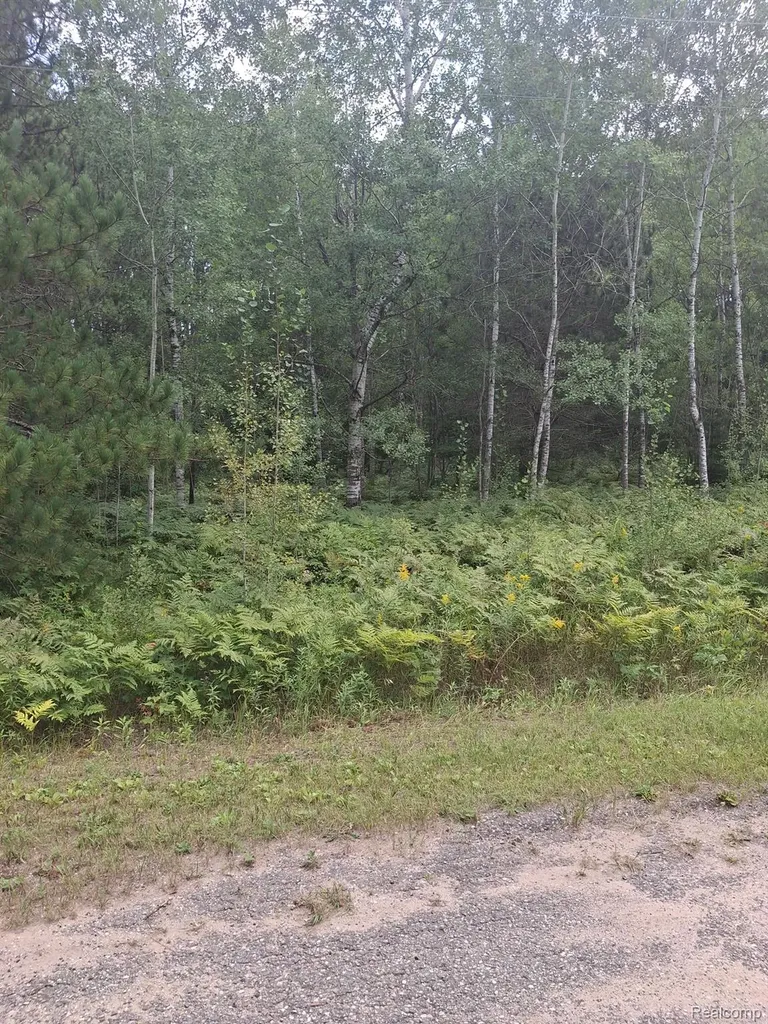 Lot 101 Breezewood Drive Mancelona Township MI 49659