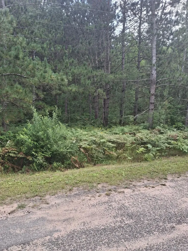 Lot 101 Breezewood Drive Mancelona Township MI 49659