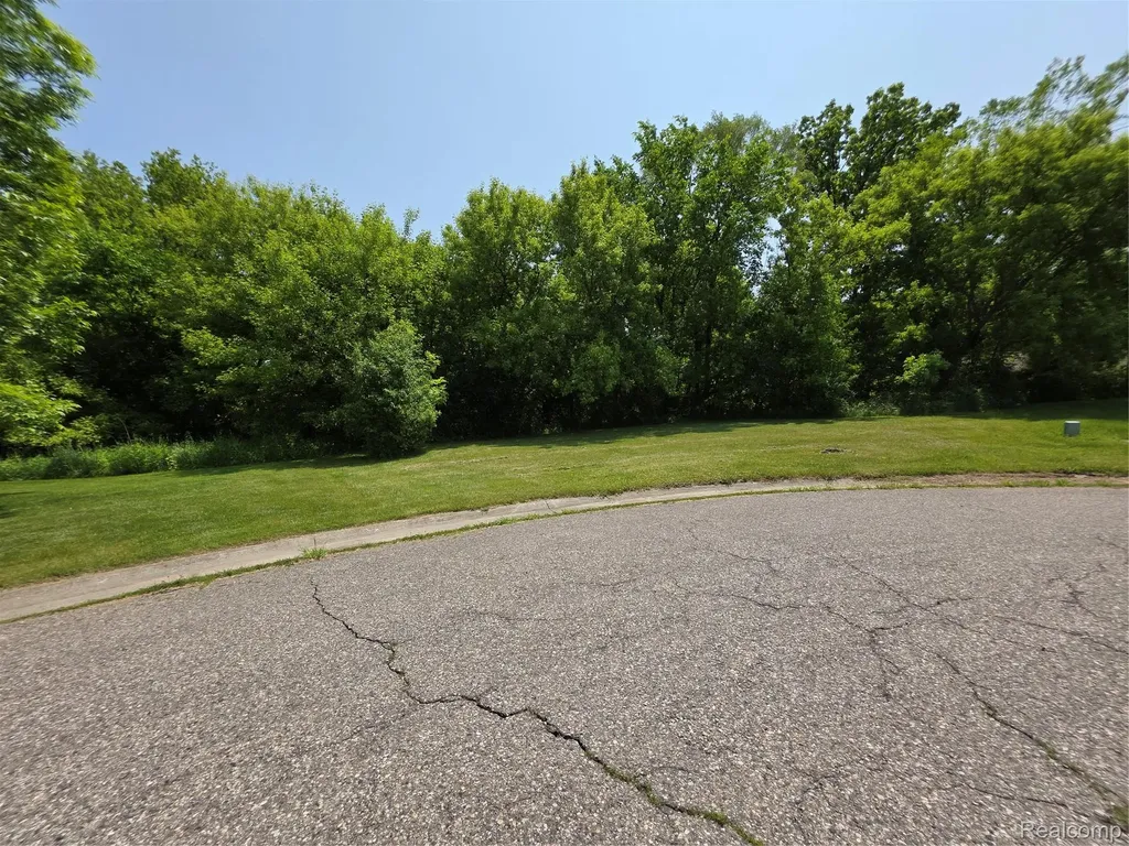 10294 Carriage Way Davison City MI 48423
