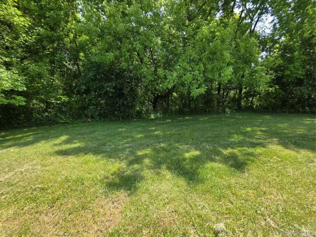 10294 Carriage Way Davison City MI 48423
