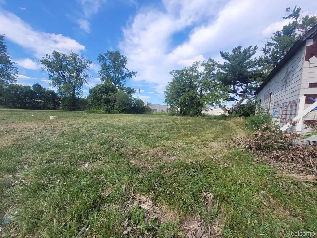 3424 Mount Elliott Street Detroit City MI 48207