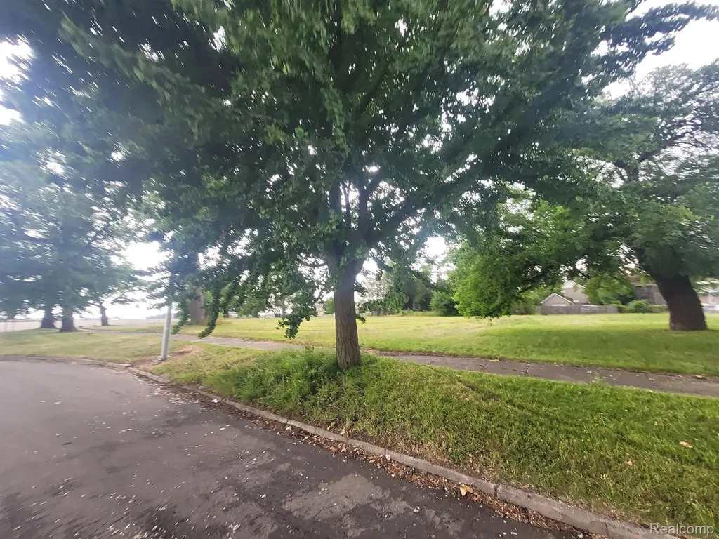 1231 24th Street Detroit City MI 48216