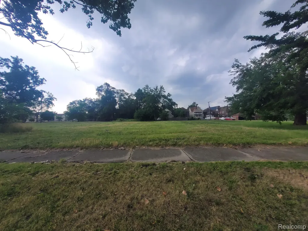 1231 24th Street Detroit City MI 48216