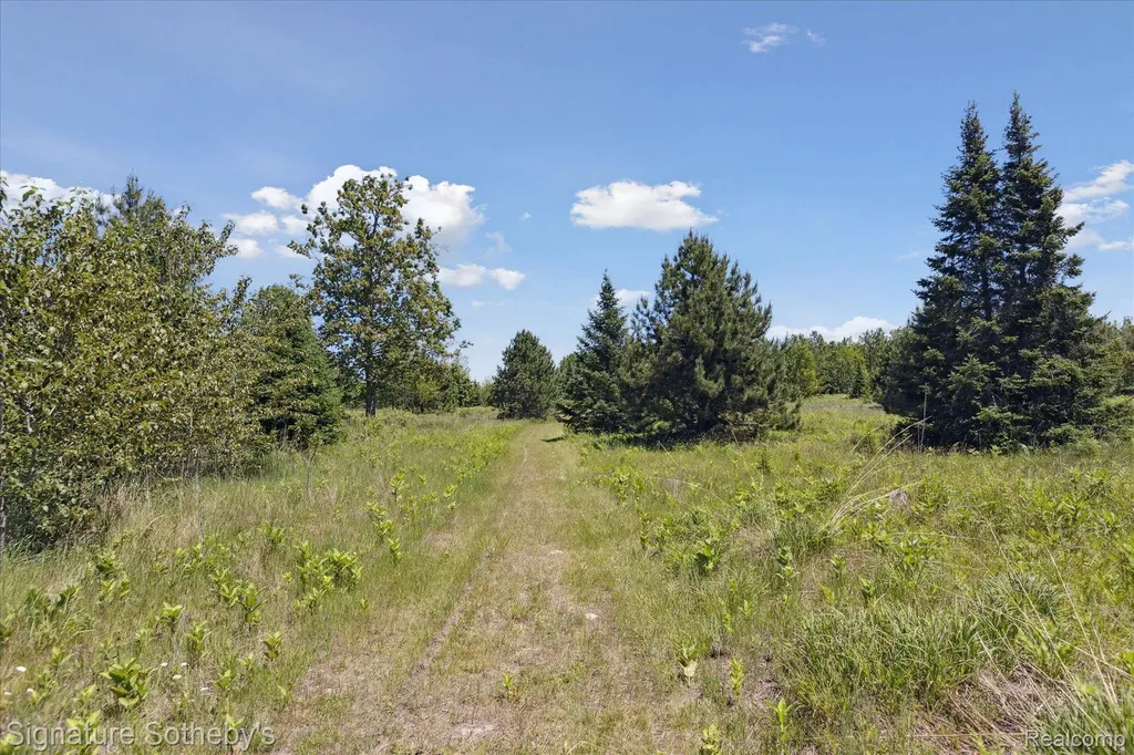 9842 Misery Bay Alpena City MI 49707